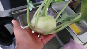 Kohlrabi aus dem Raft