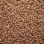 Raubwelsfutter schwimmend 3mm