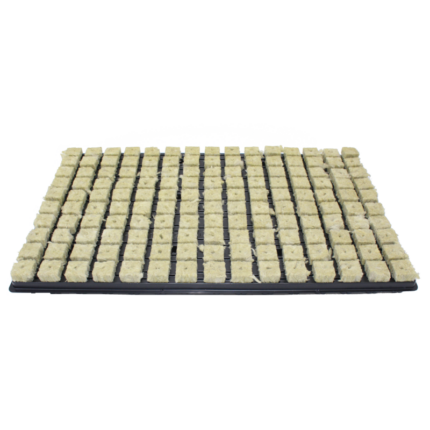 Grodan Steinwolle Tray 2x2 cm - 150 Stück