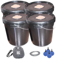 DWC-Eimersystem 30L – Vierer-Set - BioBizz