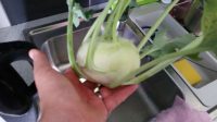 Kohlrabi