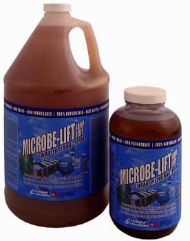 Super Start - Filterbakterien - 0,5L