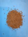 Schwimmfutter - Tilapia Pellets - 3mm